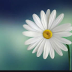 Meet your Posher, Tanya